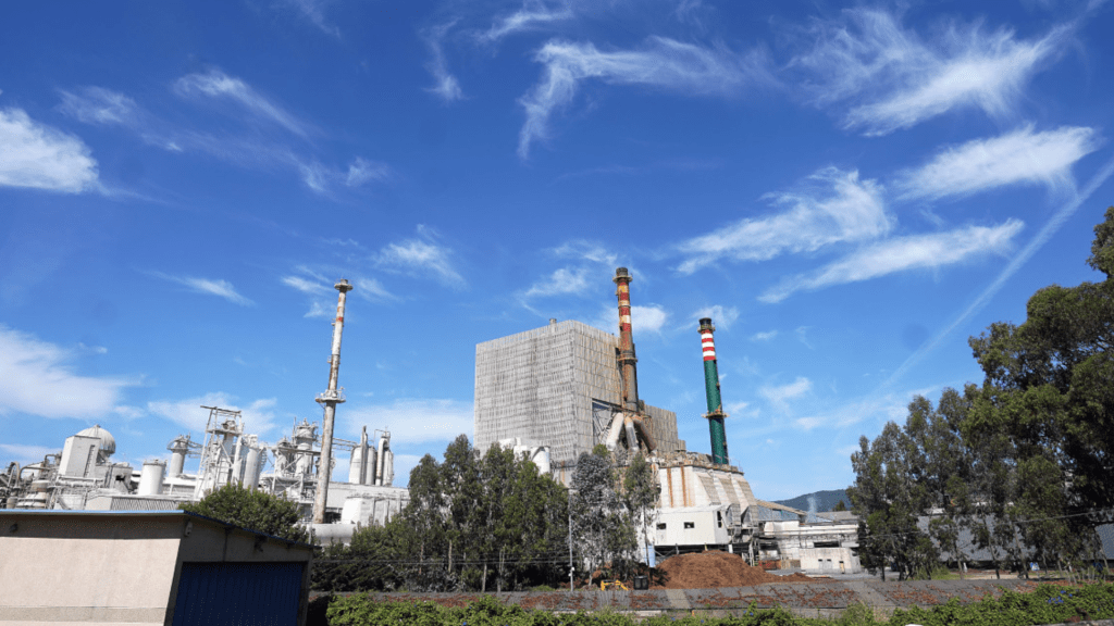 O Estado de Dereito protexe aos&nbsp;traballadores